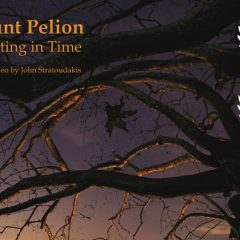 Mount Pelion – Sculpting in Time