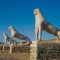 Delos The Island of Gods, Apollo, Unesco Heritage, Drone