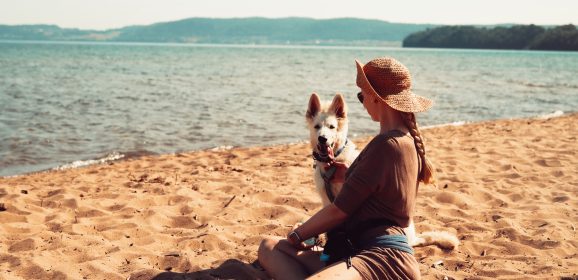 The Ultimate Guide to Pet-Friendly Holidays in Greece