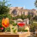 Athens Wins ‘Cocktail Culture City of the Year’ at 2026 Travel & Taste Awards