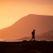 Be a Traveller, Not a Visitor